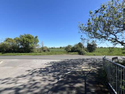 Blackmore Mead, Blackmore, Image 11