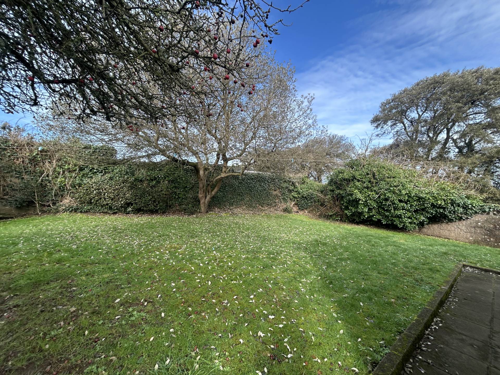 Le Clos Du Nord, Mont De La Rocque, Image 21