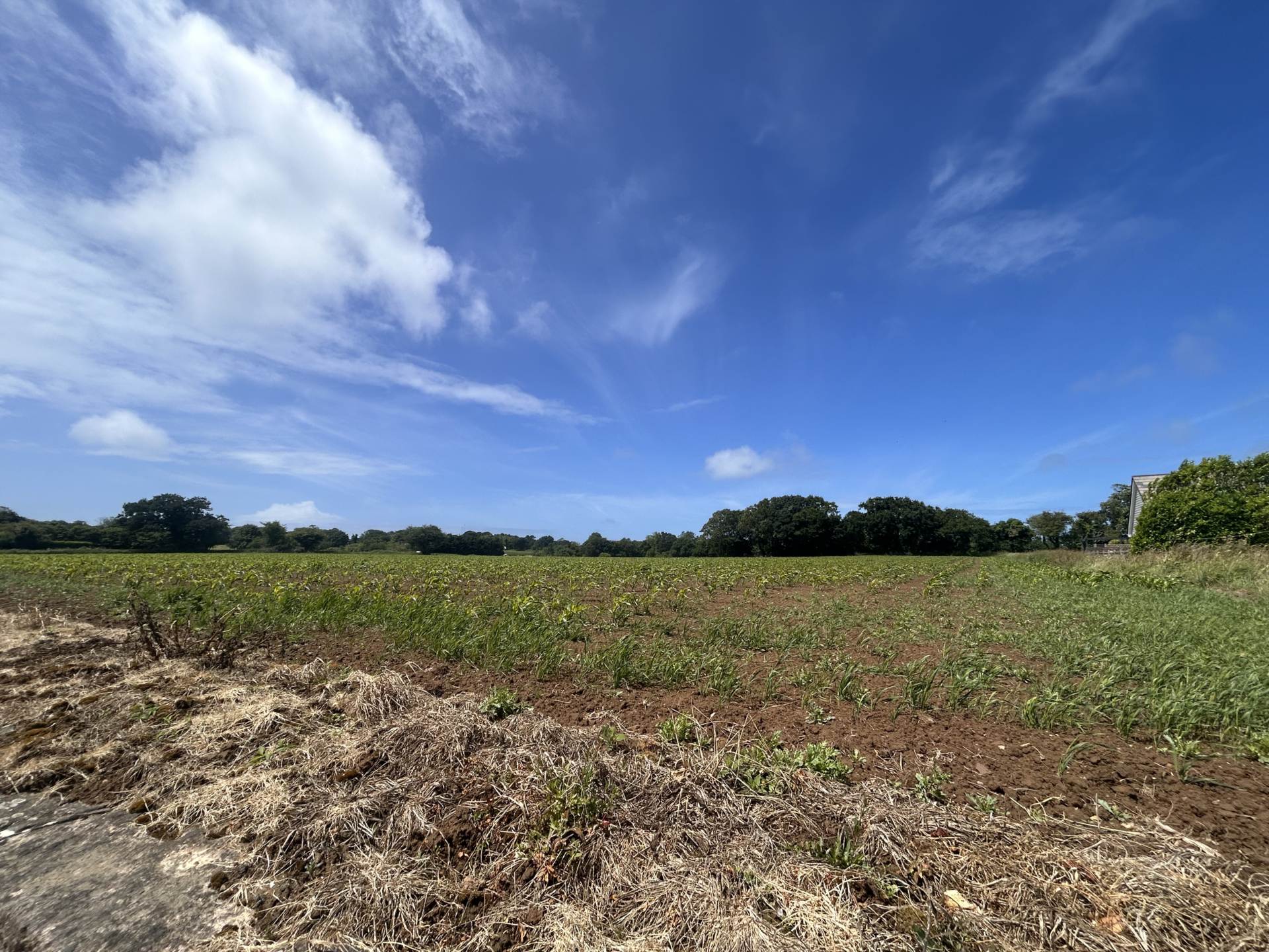 La Rue Du Hurel, Trinity, Image 10