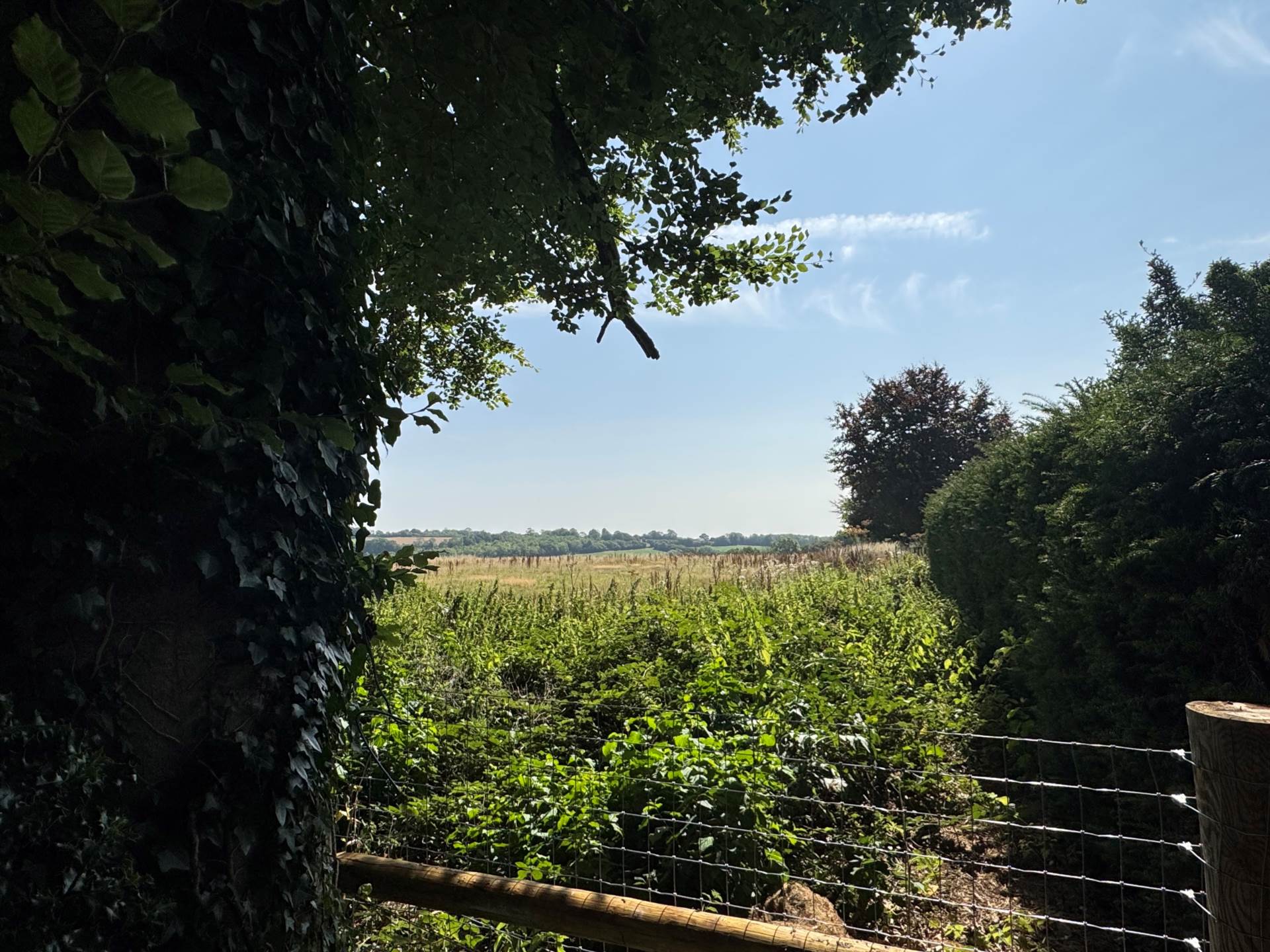 Hall Lane, Faccombe, Image 17