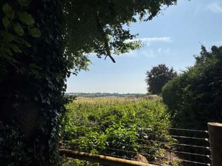 Hall Lane, Faccombe, Image 17
