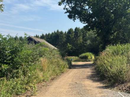 Hall Lane, Faccombe, Image 21