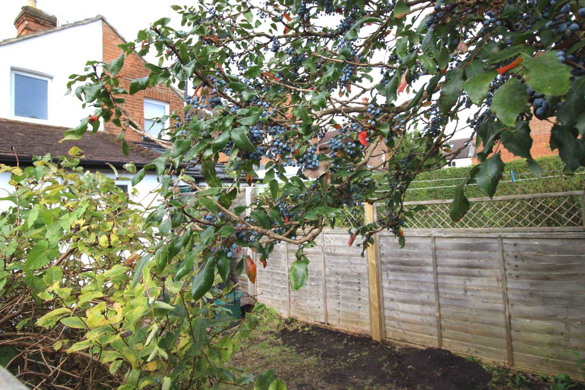 Room 2: 46 George Road, Guildford, GU1 4NR - EN SUITE, Image 21