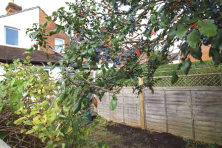 Room 2: 46 George Road, Guildford, GU1 4NR - EN SUITE, Image 21