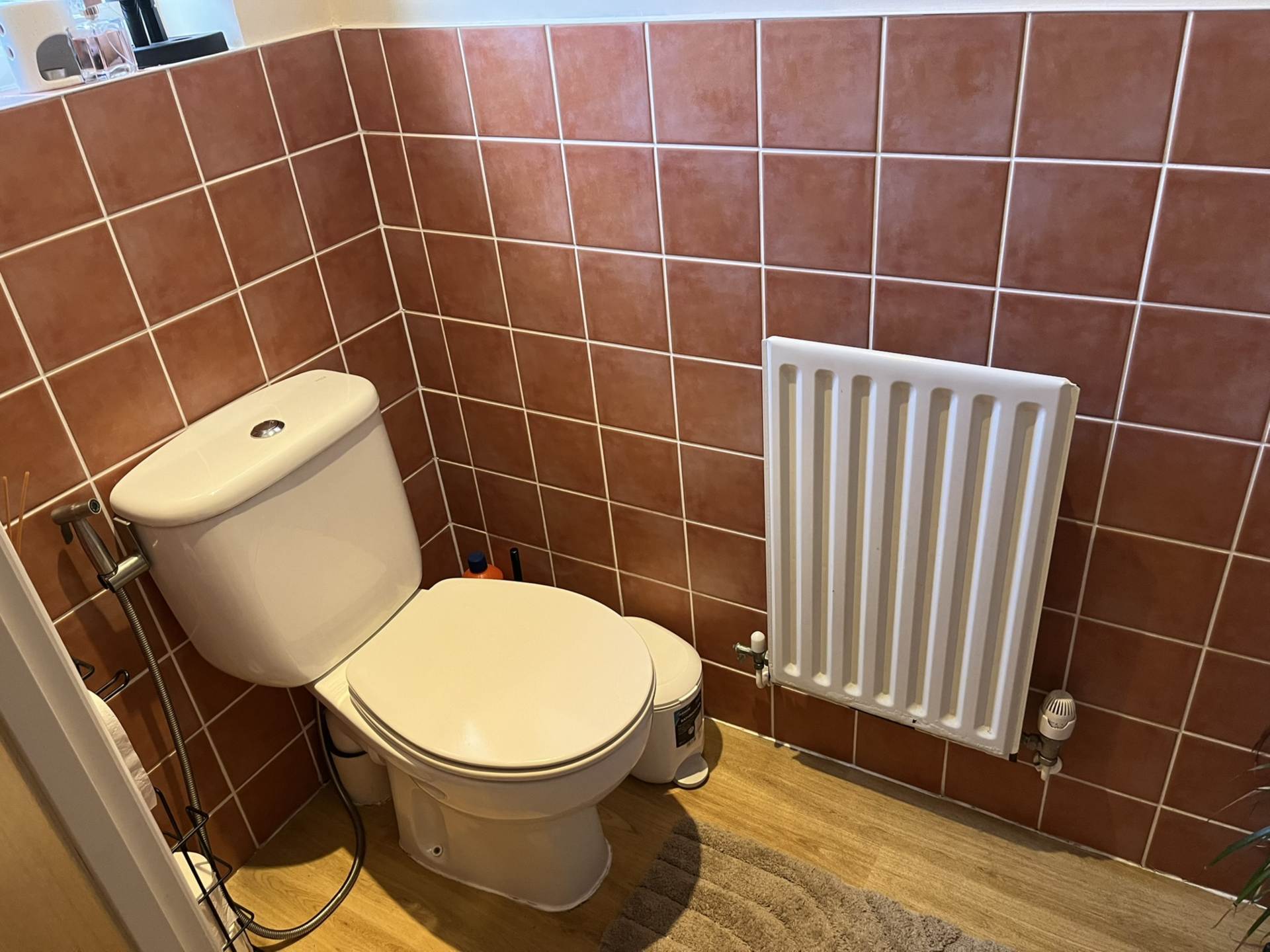 4 Queenhythe Crescent, Jacobs Well, Image 59