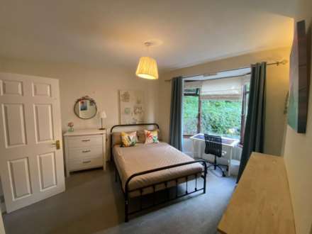 1 Bedroom Room (Double), SYCAMORE