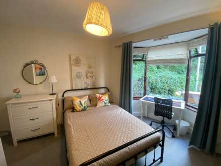 Room 1: 15 Sycamore Road, Guildford, GU1 1HJ, Image 3