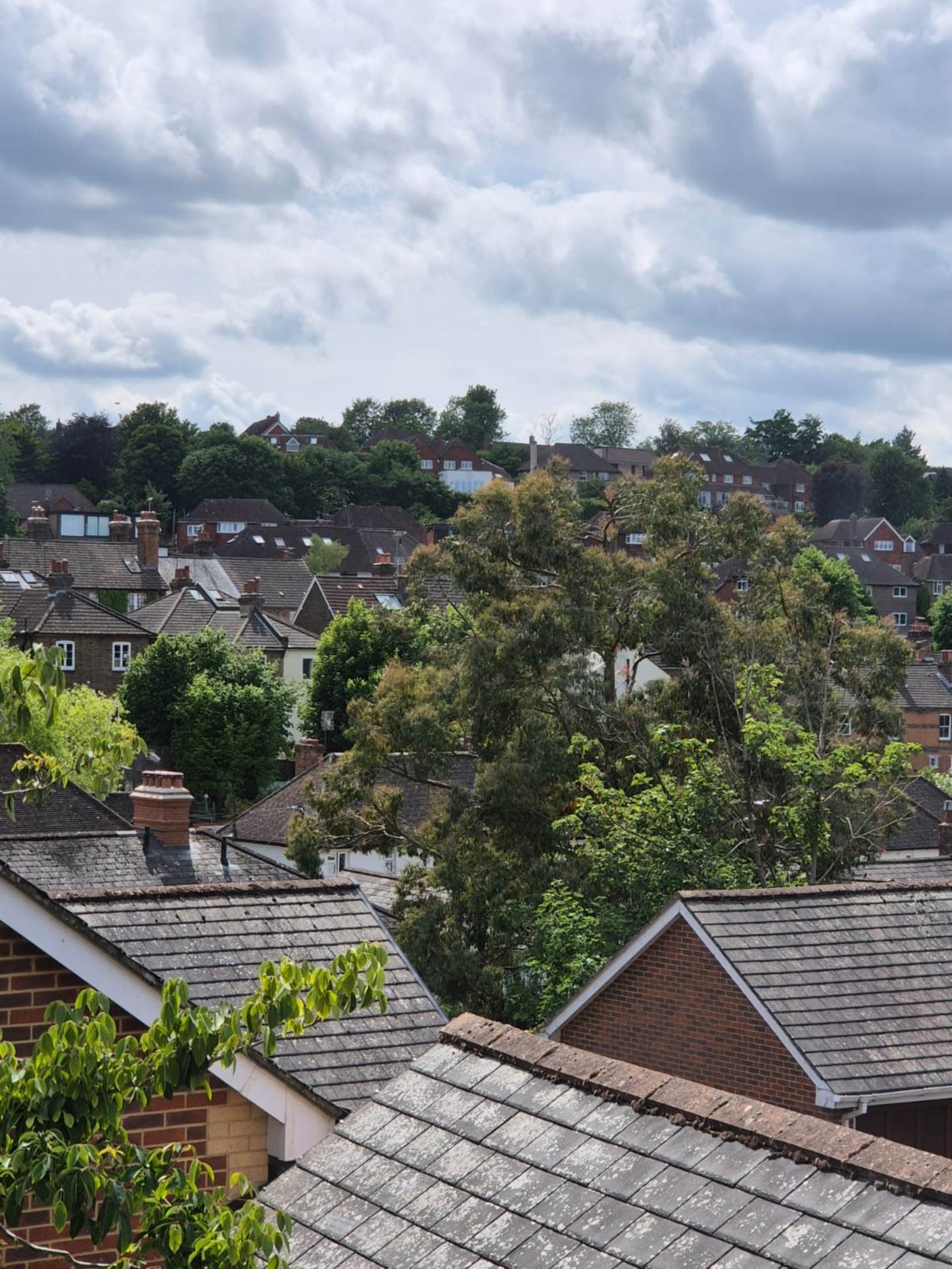 St. Catherines Park, Guildford, GU1 3NF, Image 27