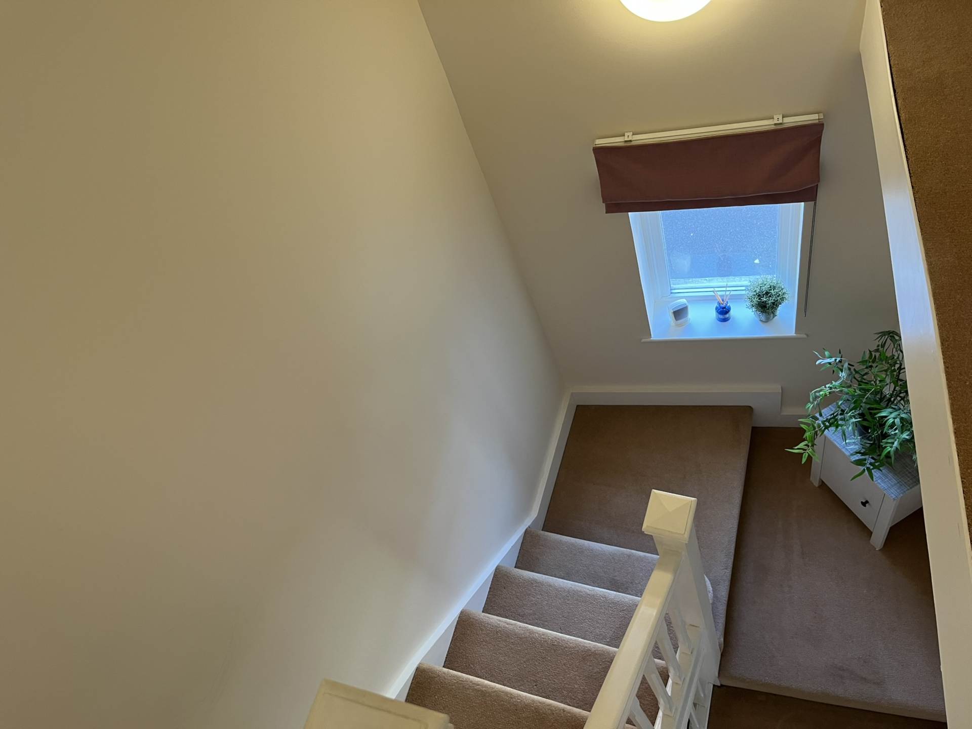 Room 1, Willowbrook, Great George, Godalming GU7 1EE, Image 11