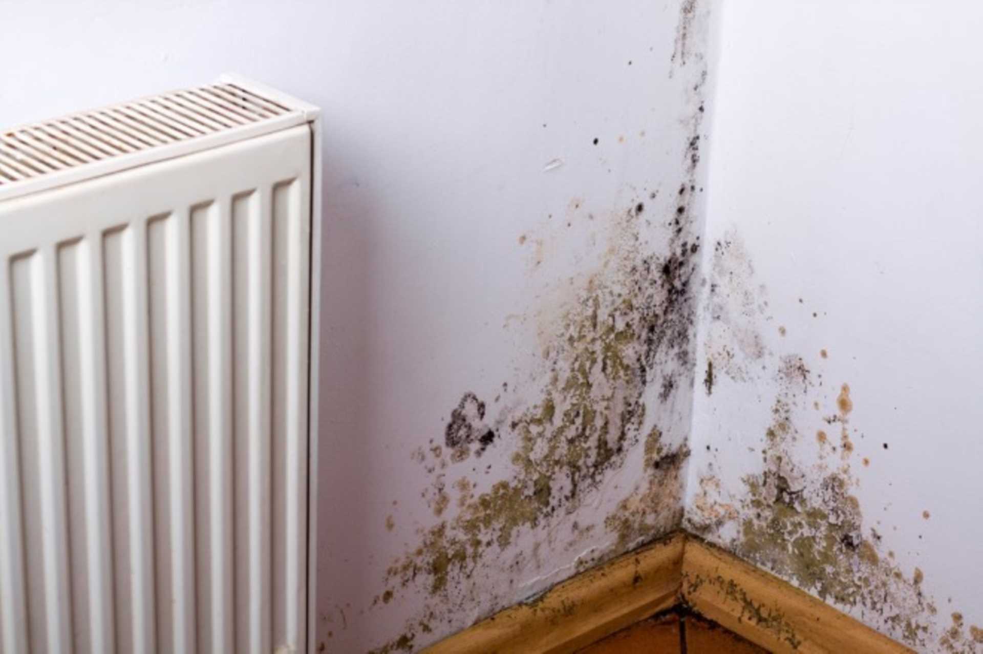 Eight tips to stop condensation and mould