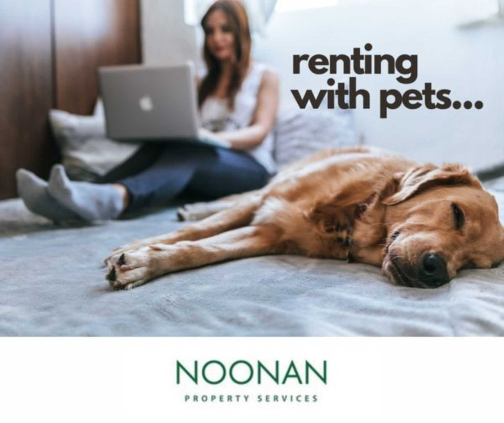 Renting With Pets