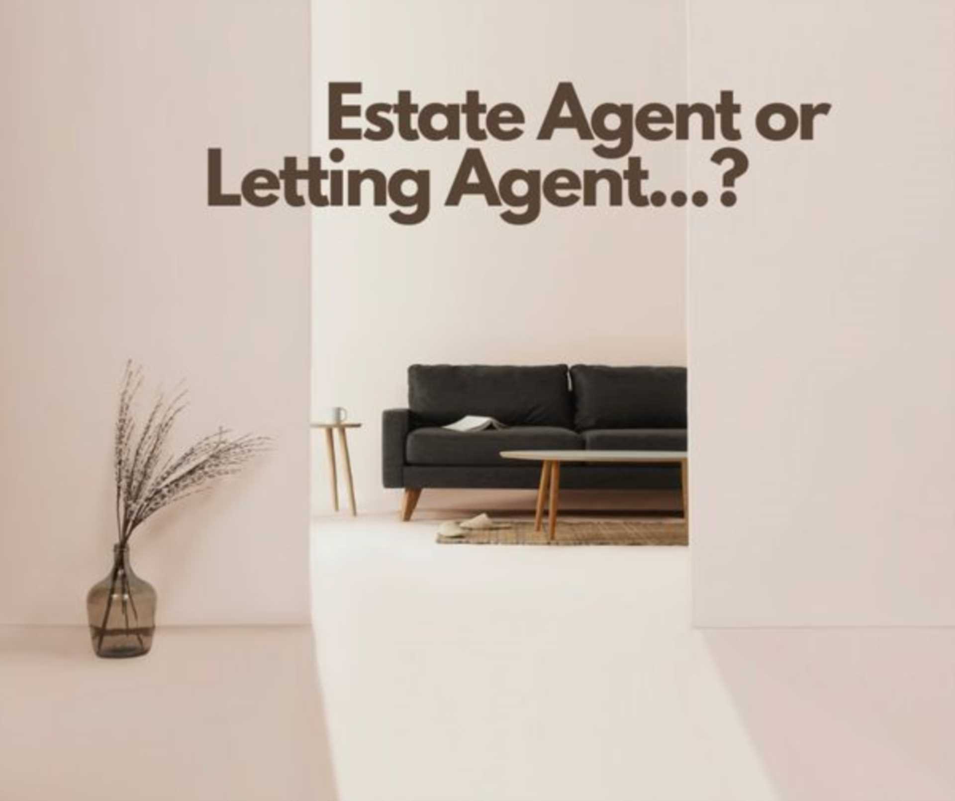 Estate Agent Vs Letting Agent...