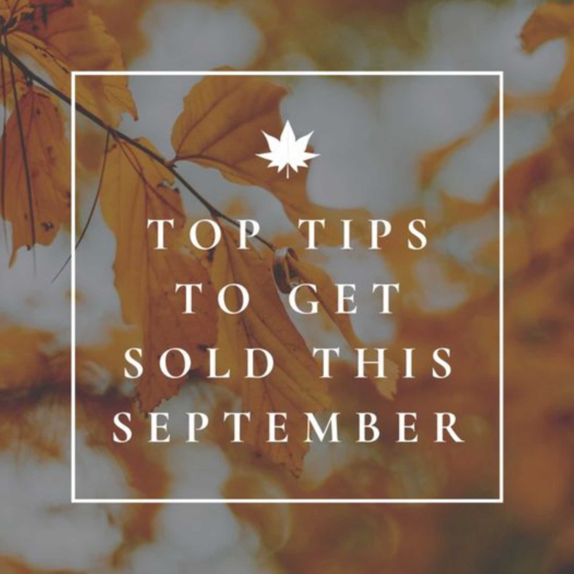 Top Tips to Sell in September