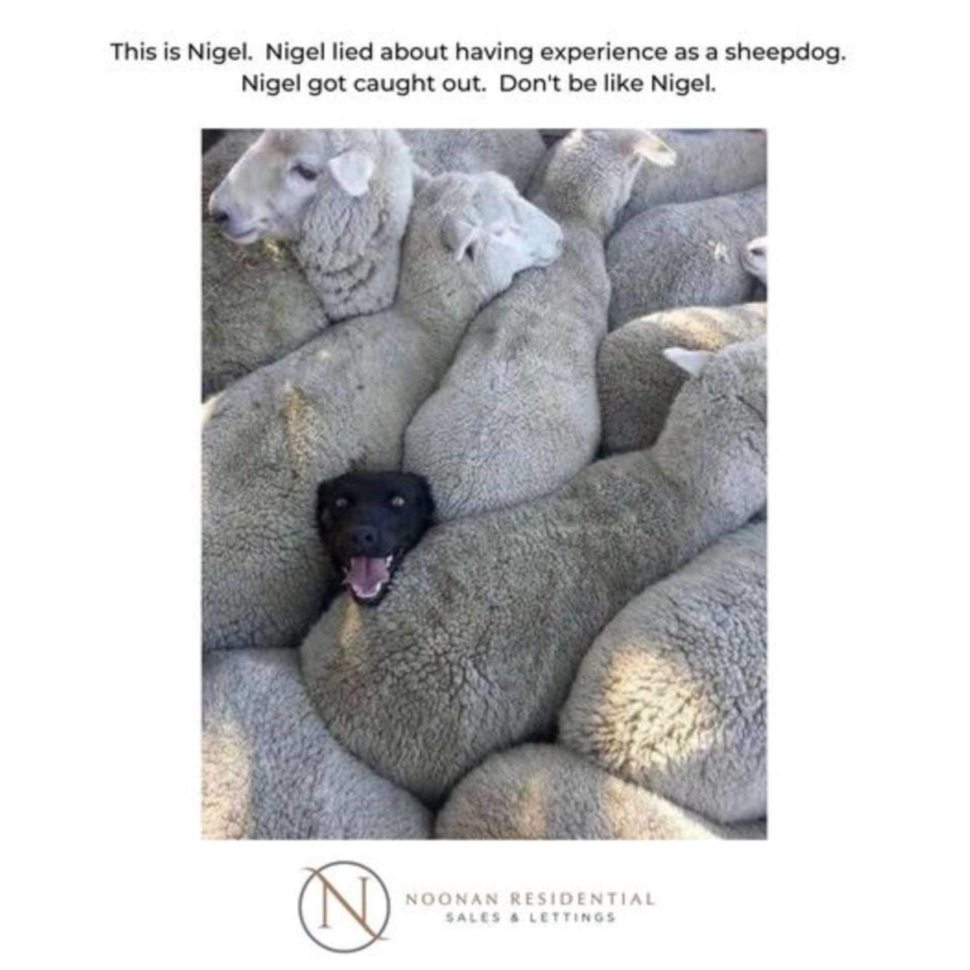 Don`t be a Nigel....