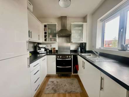 Buttercup Avenue, Image 4