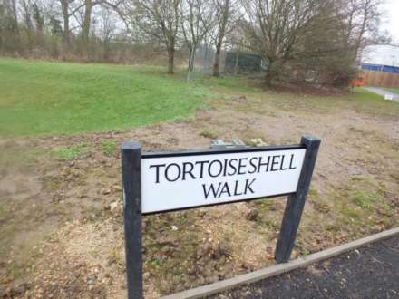 Tortoiseshell Walk, Little Paxton, Image 2