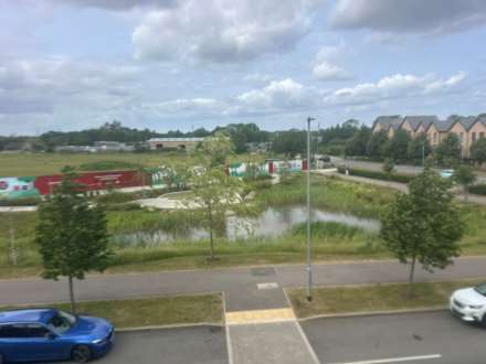 Field Maple Close, St Neots, Image 11