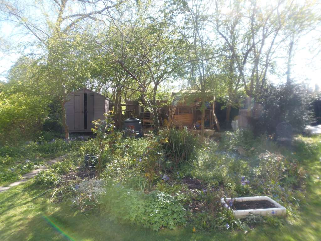 Dulwich Road, Herne Hill, Image 11