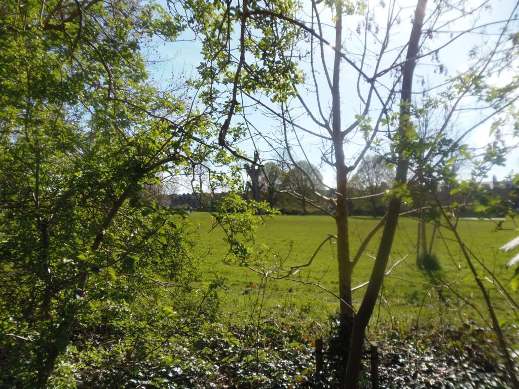 Dulwich Road, Herne Hill, Image 13