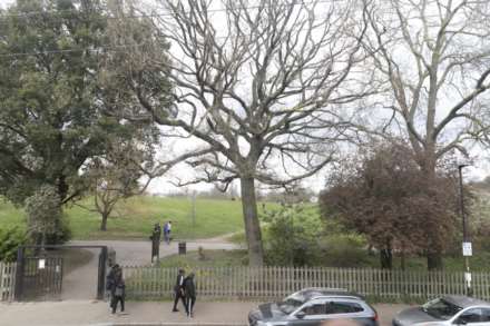 Brockwell Park Gardens, Herne Hill, Image 11
