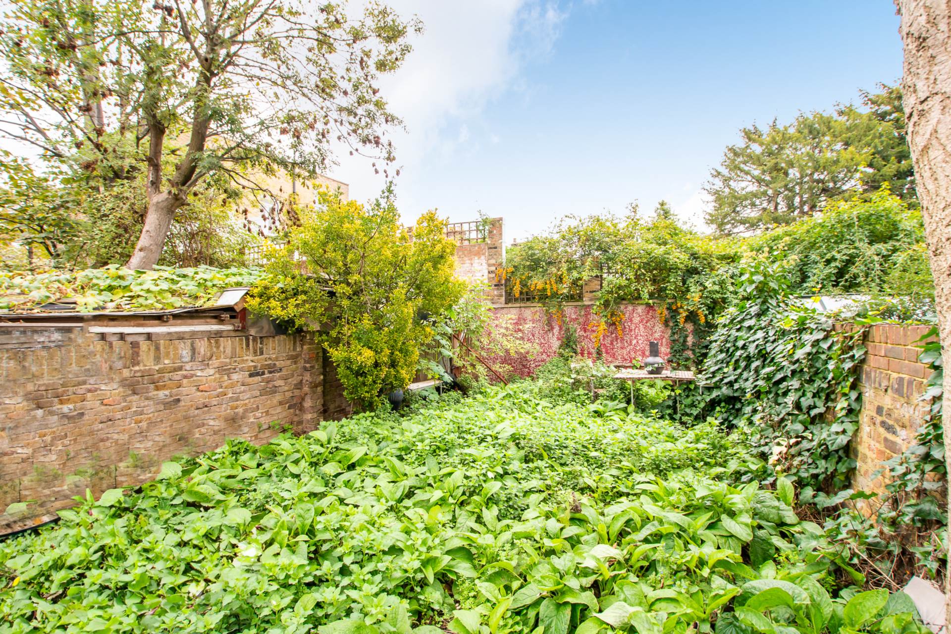Effra Road, London, Image 14
