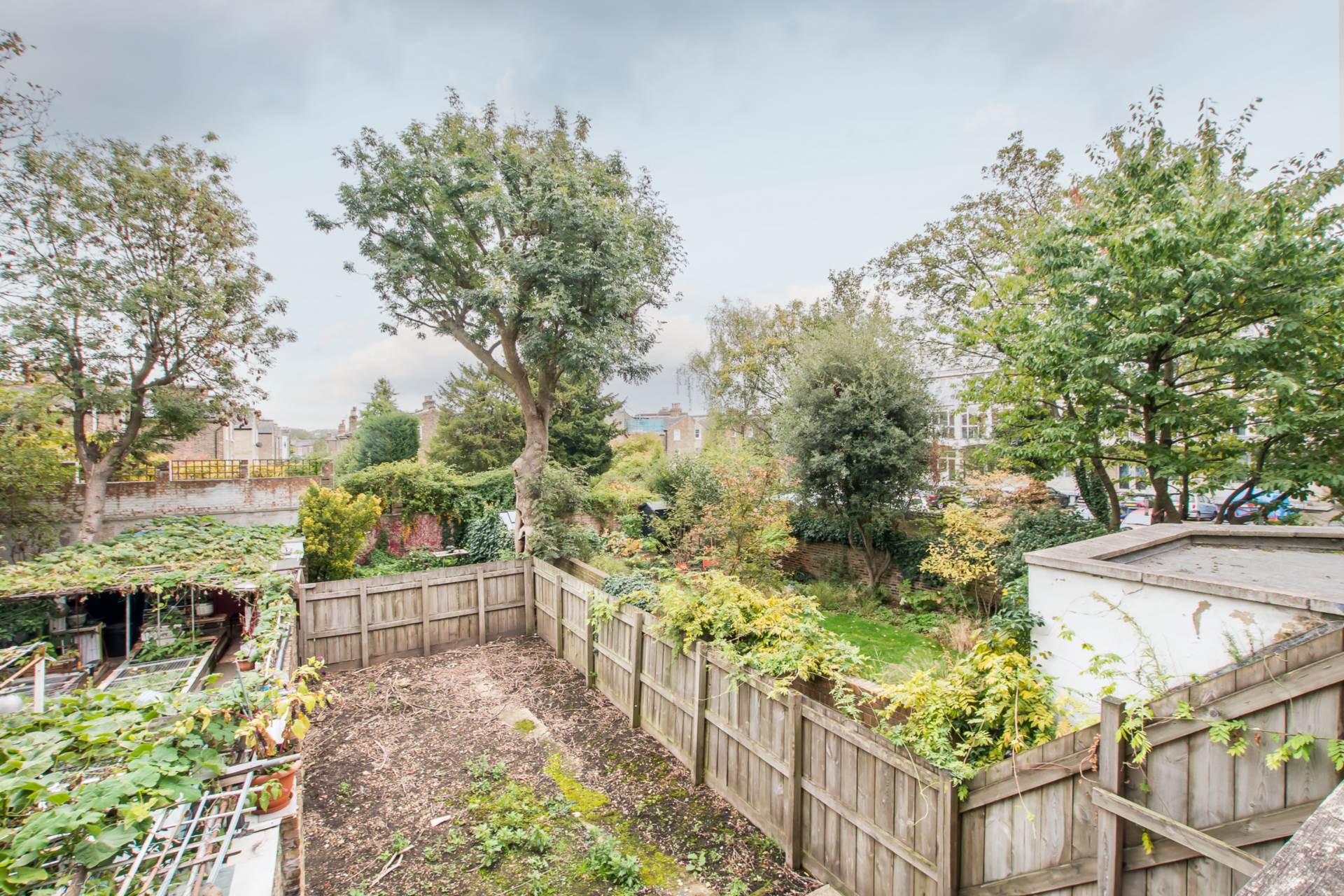 Effra Road, London, Image 6