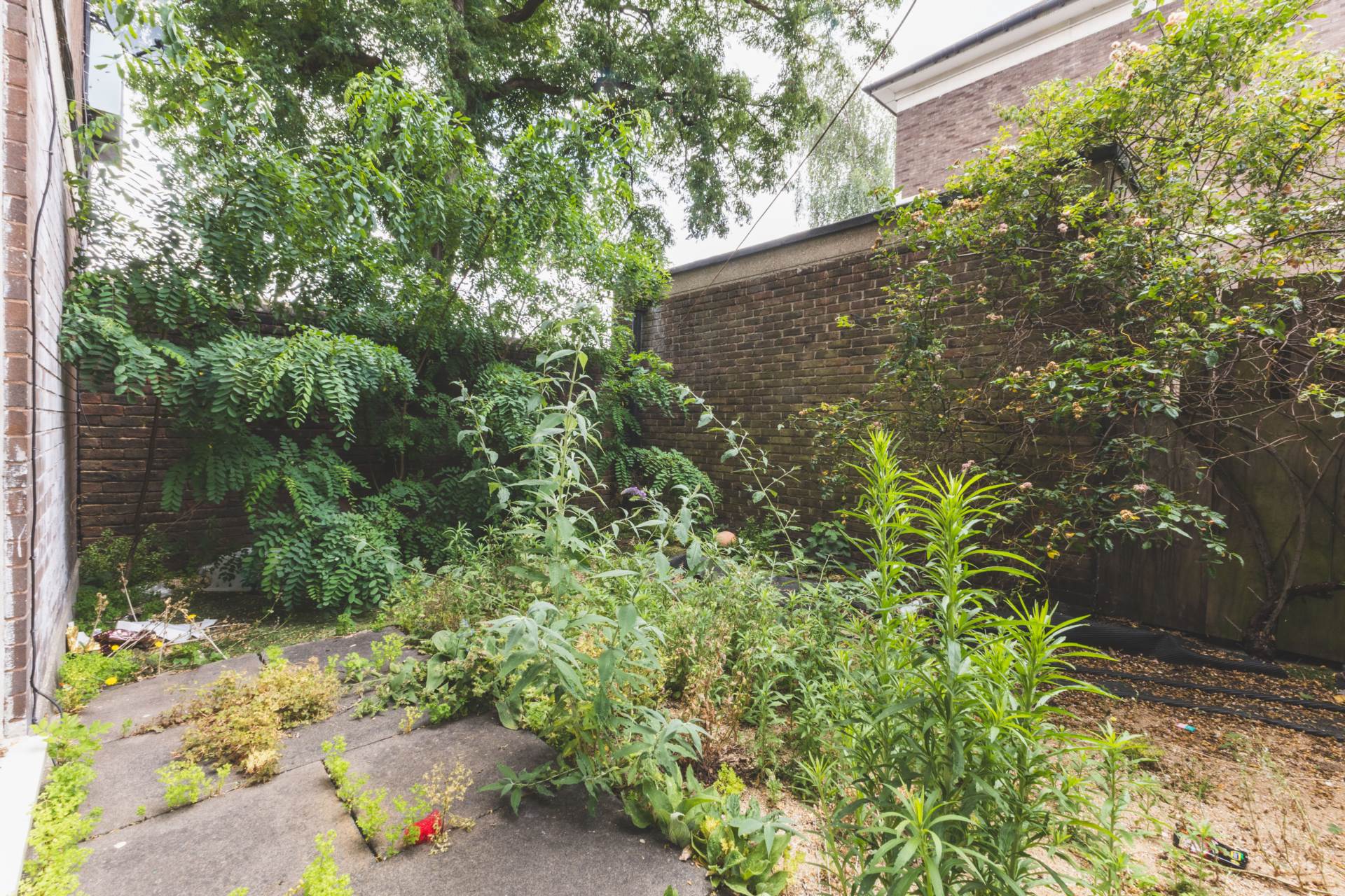 Cottage Grove, Clapham North, Image 7