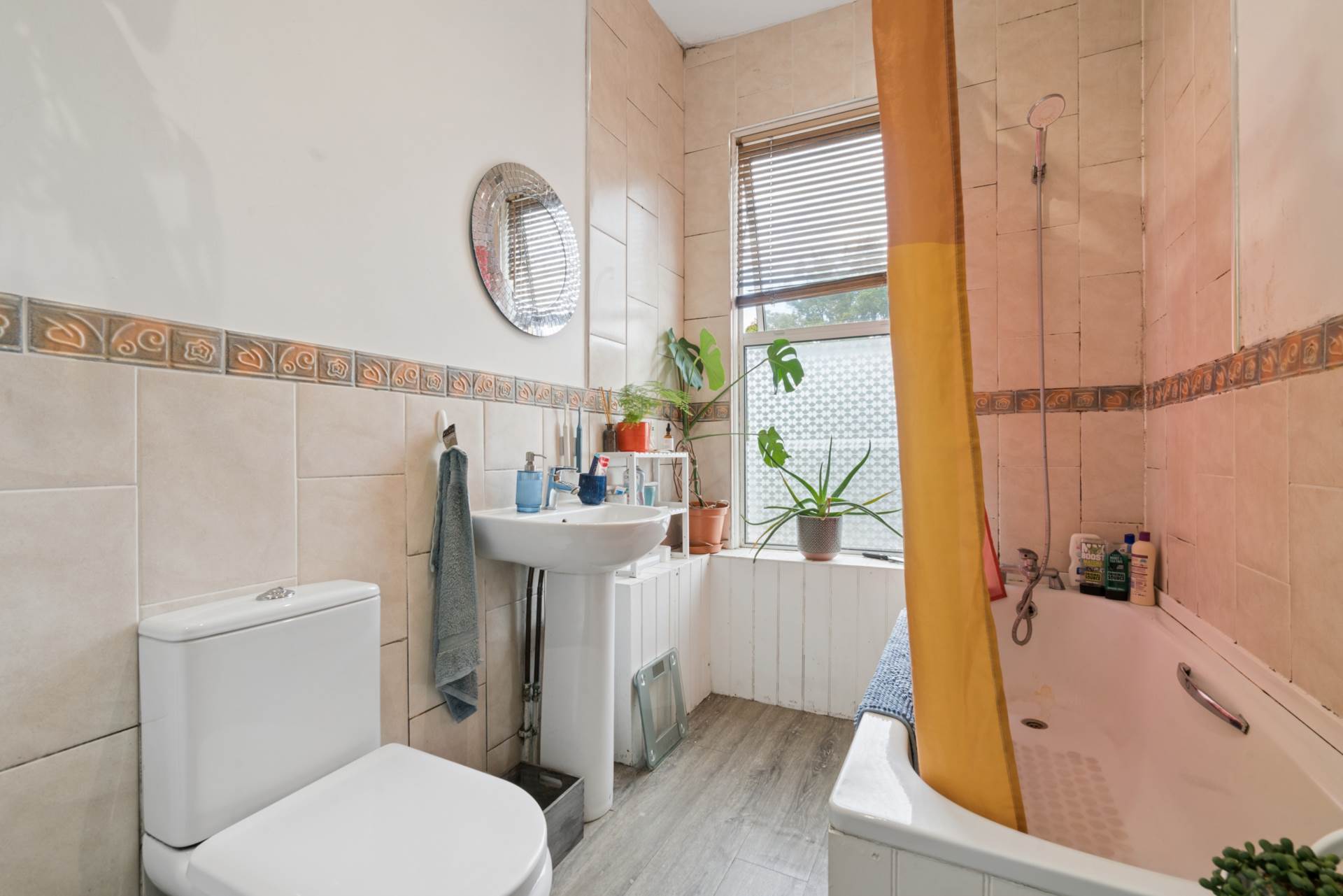 East Dulwich Grove, East Dulwich, Image 4