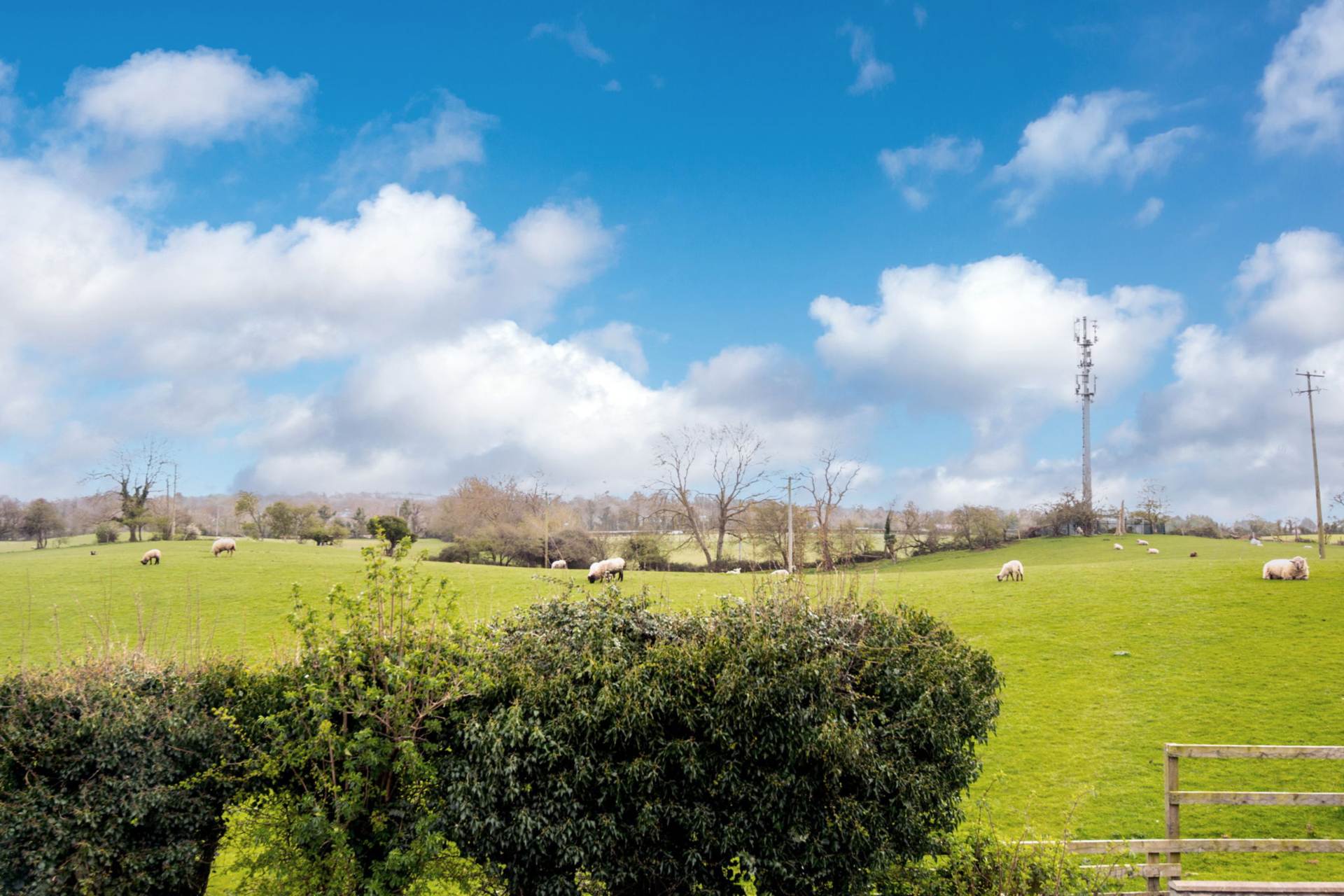 12 Whitethorn, Feltrim Road, Kinsealy