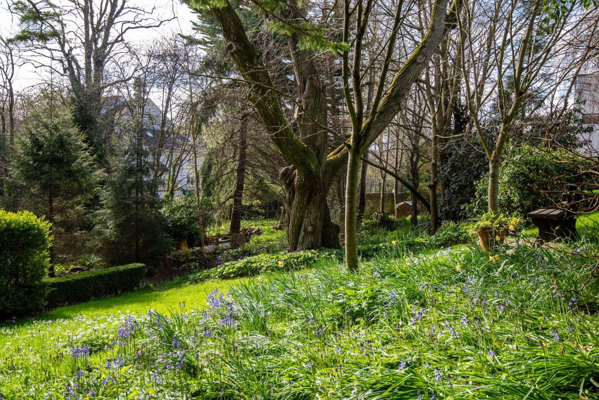Apartment 20 The Old Vicarage, Church Road, Swords Apartment 20 The Old Vicarage, Church Road, Swords