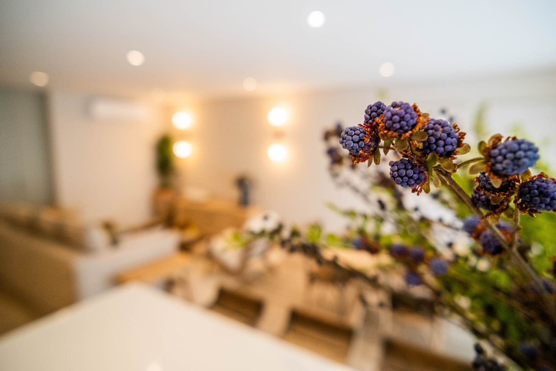 Apartments, Faro, Algarve,Portugal