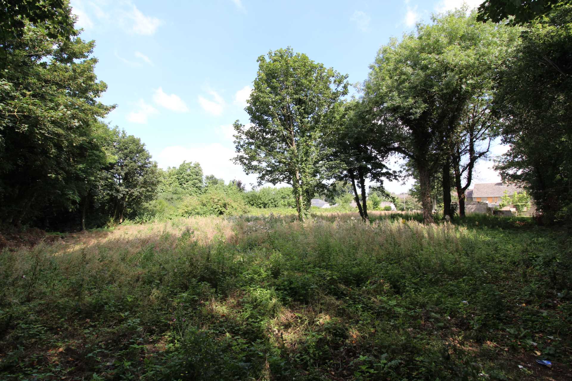 New Road, Portlaoise, Co. Laois