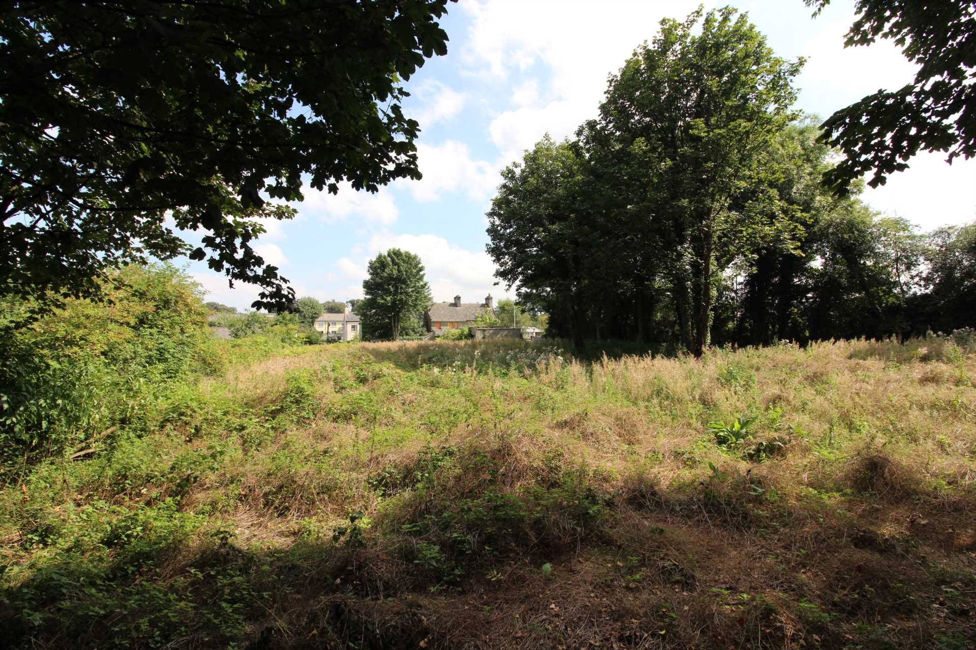 New Road, Portlaoise, Co. Laois