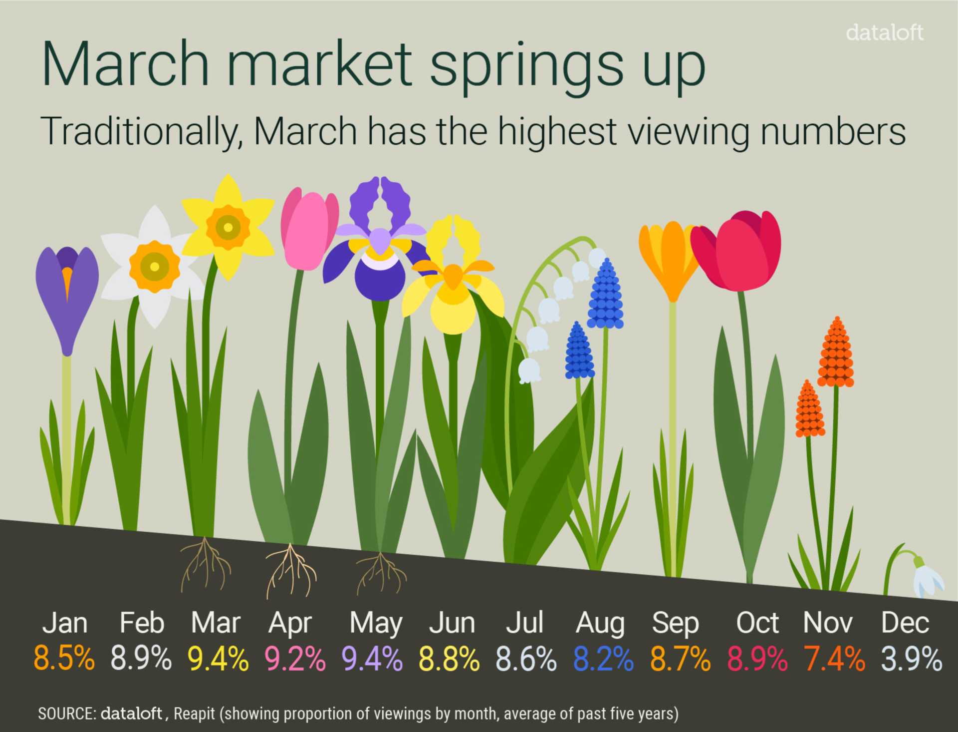Spring Has Officially Sprung!