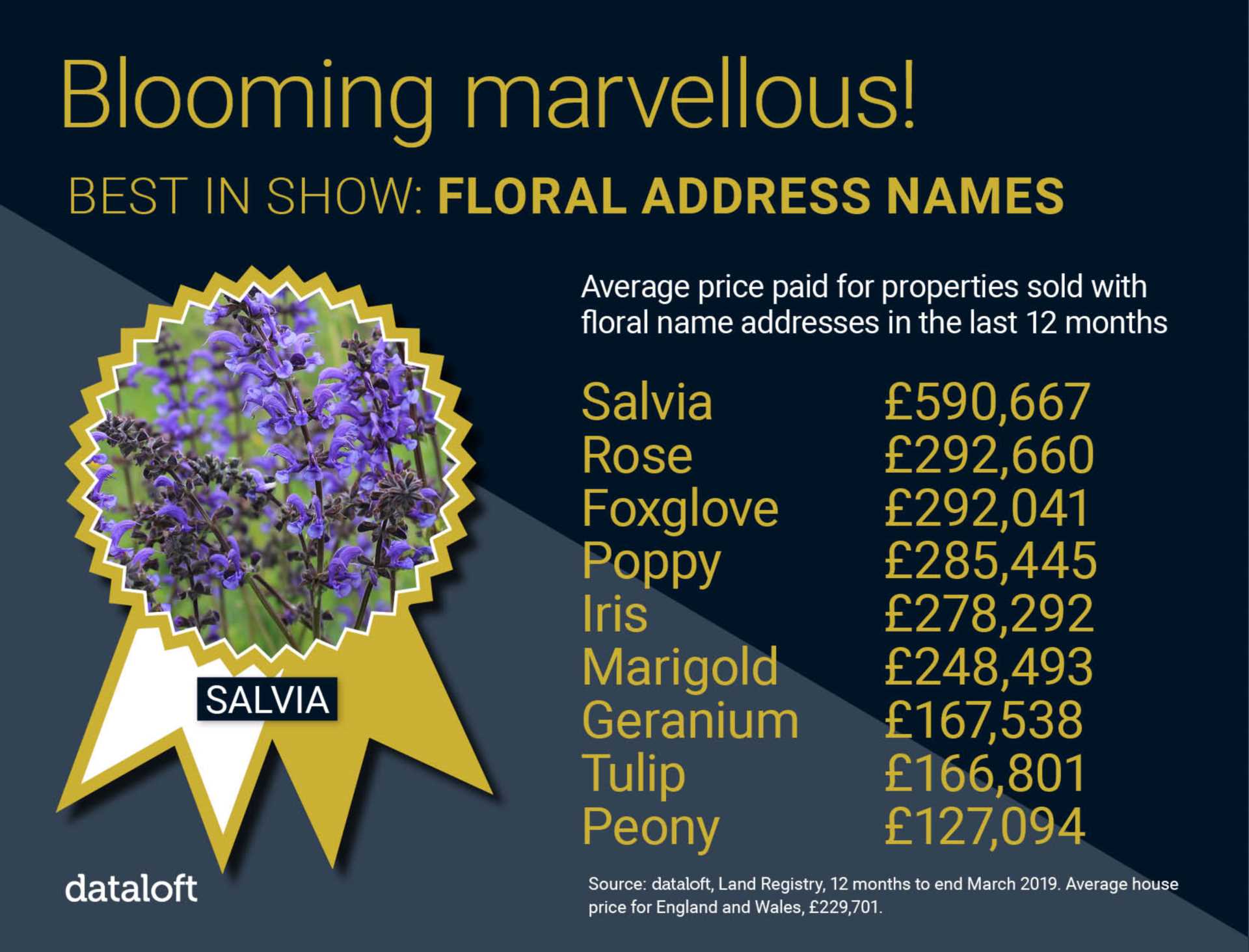 Blooming Marvellous!