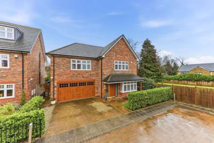 Carr Lane, Sandal, Image 2