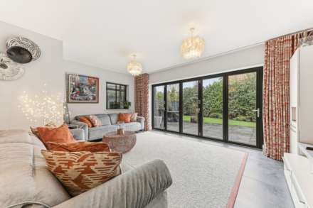 Carr Lane, Sandal, Image 6