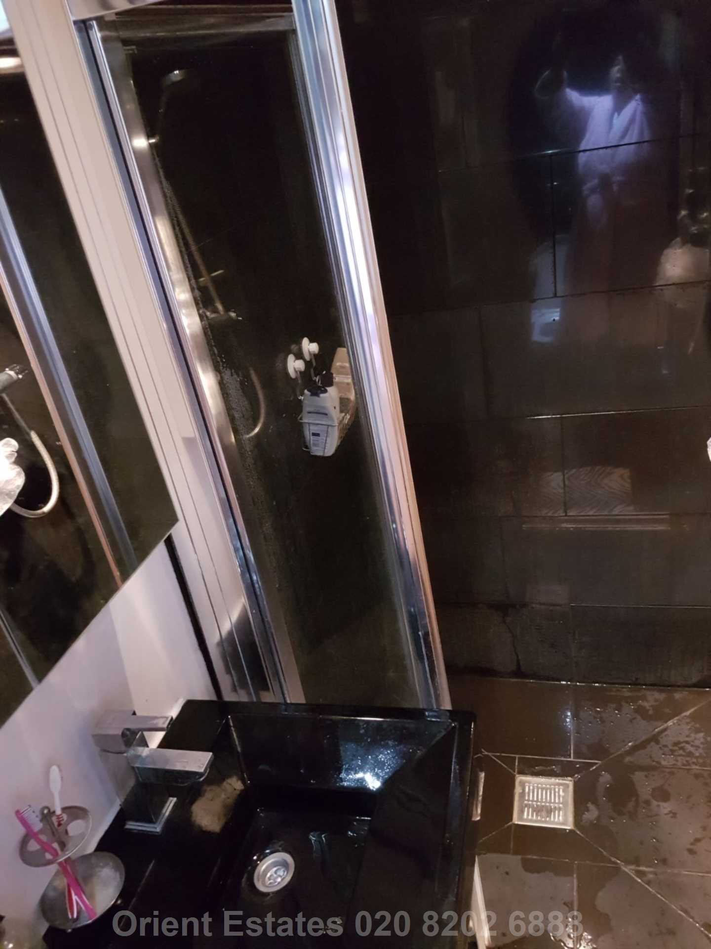 Fernside Avenue, Mill Hill, Image 5