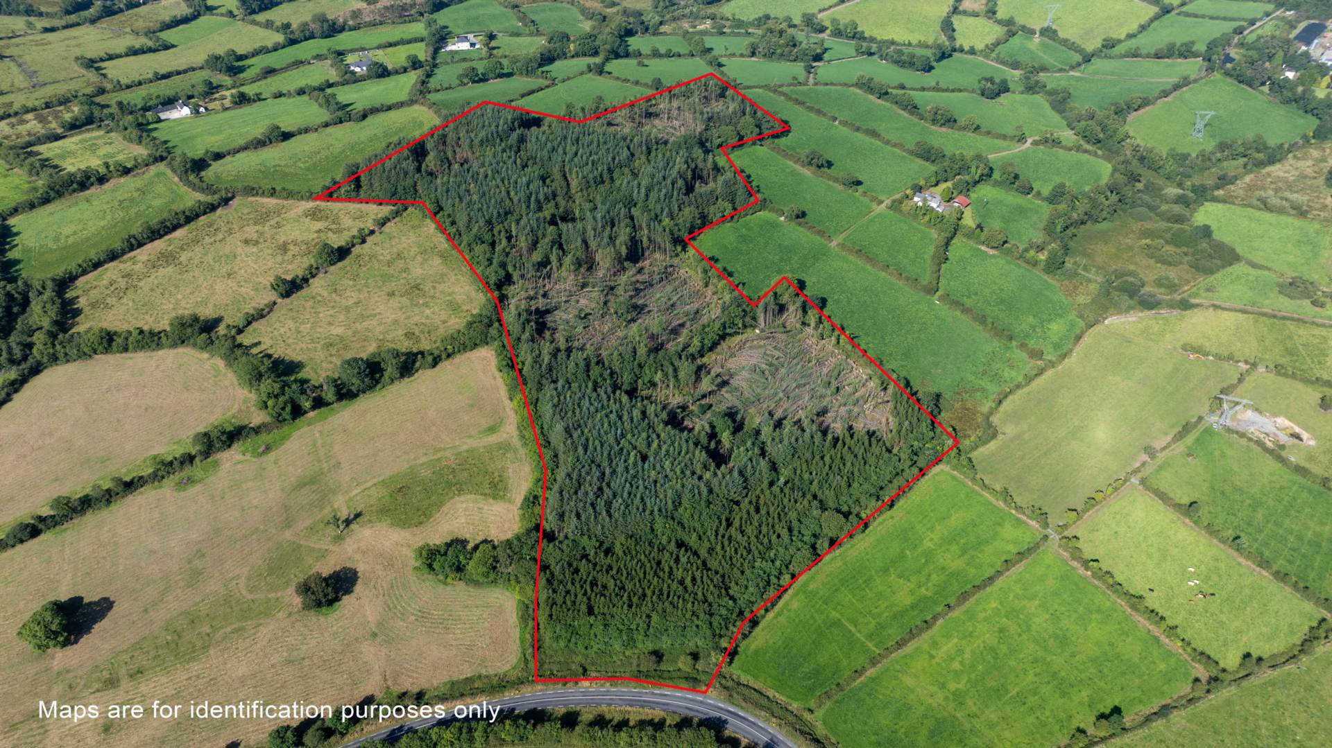 AUCTION – 17 ACRES FORESTRY LANDS @ Corracarrow, Ballyjamesduff