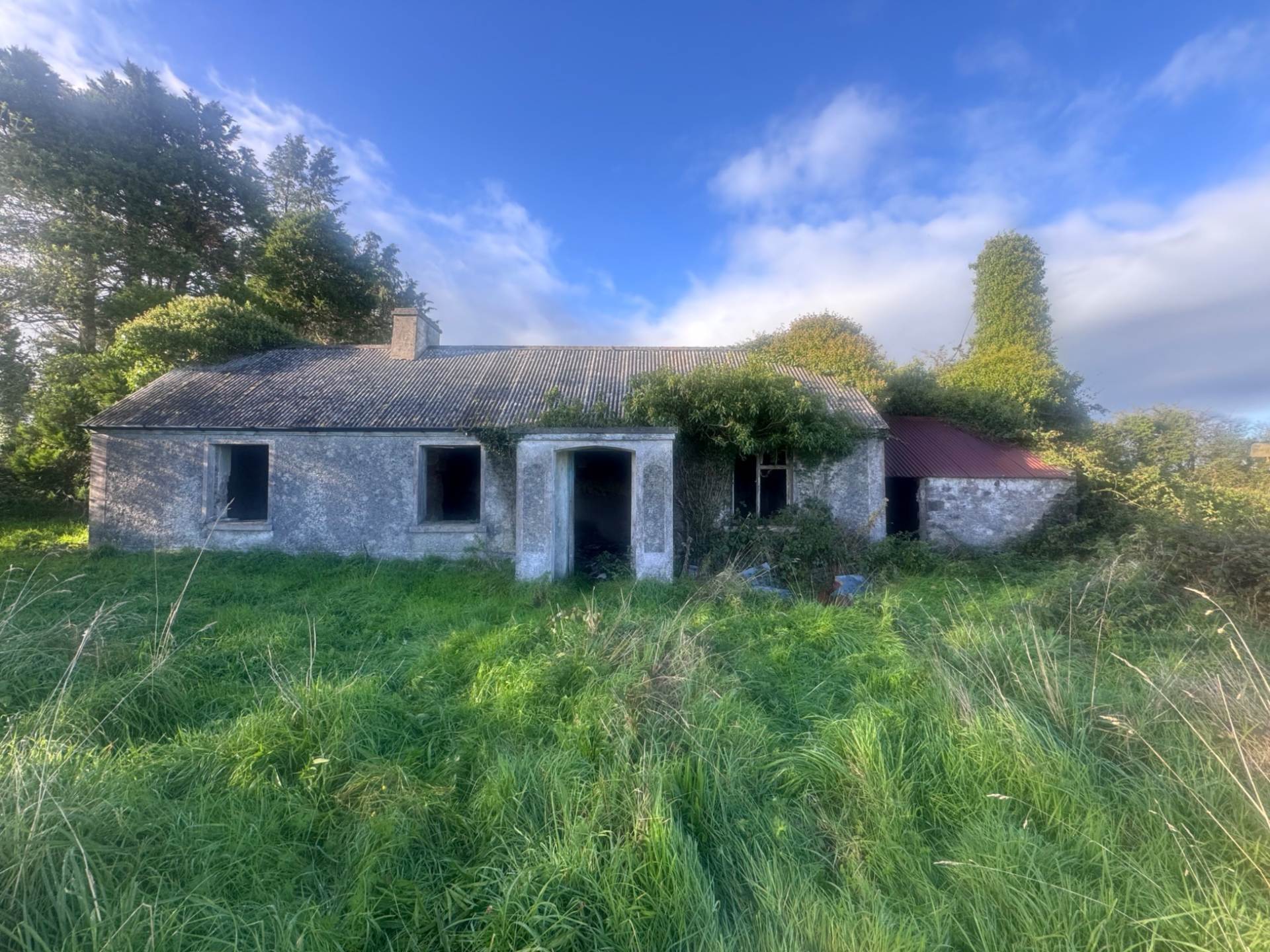 AUCTION – Tirlahode Upper, Stradone, Co. Cavan, H12 W264