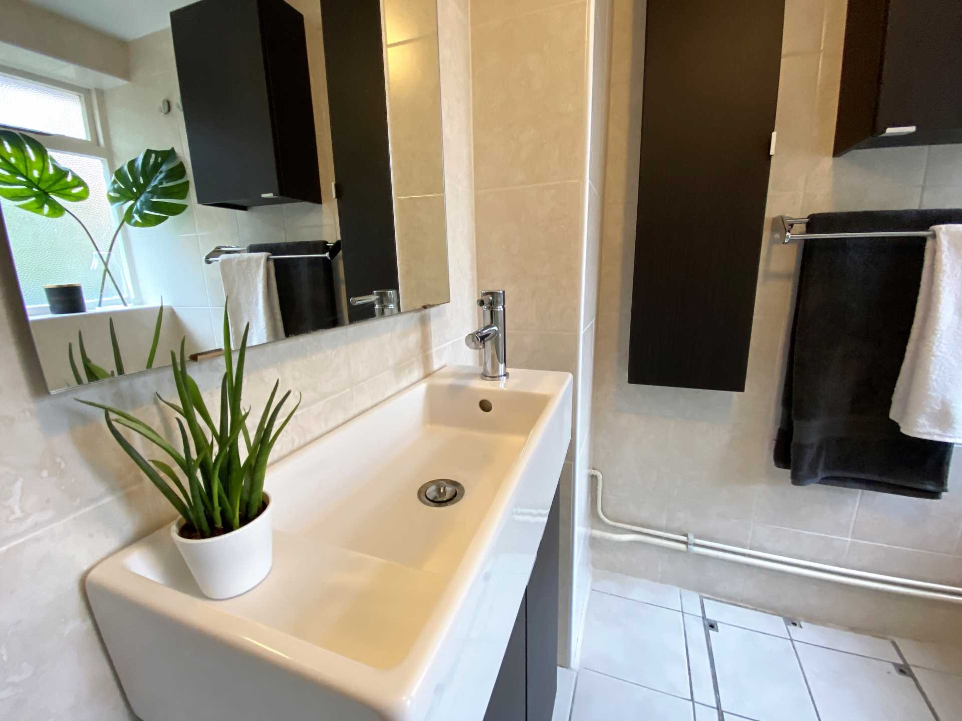 Orange Street, Canterbury, Image 8