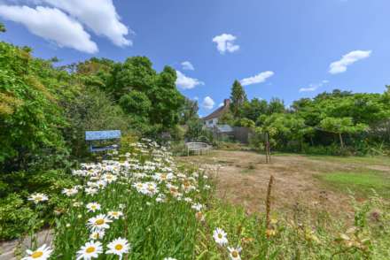 St Stephens Hill, Canterbury, Image 22