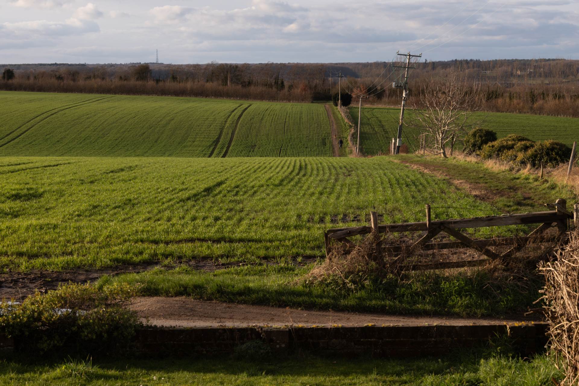New House Lane, Canterbury, Image 18