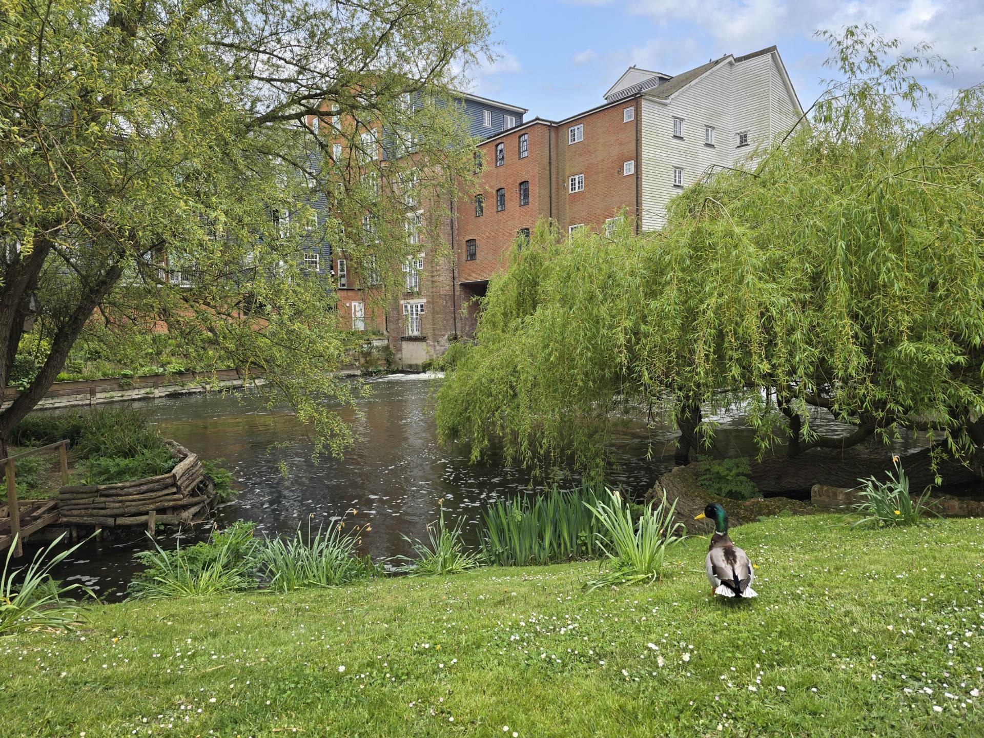 Waters Edge, Canterbury, Image 13