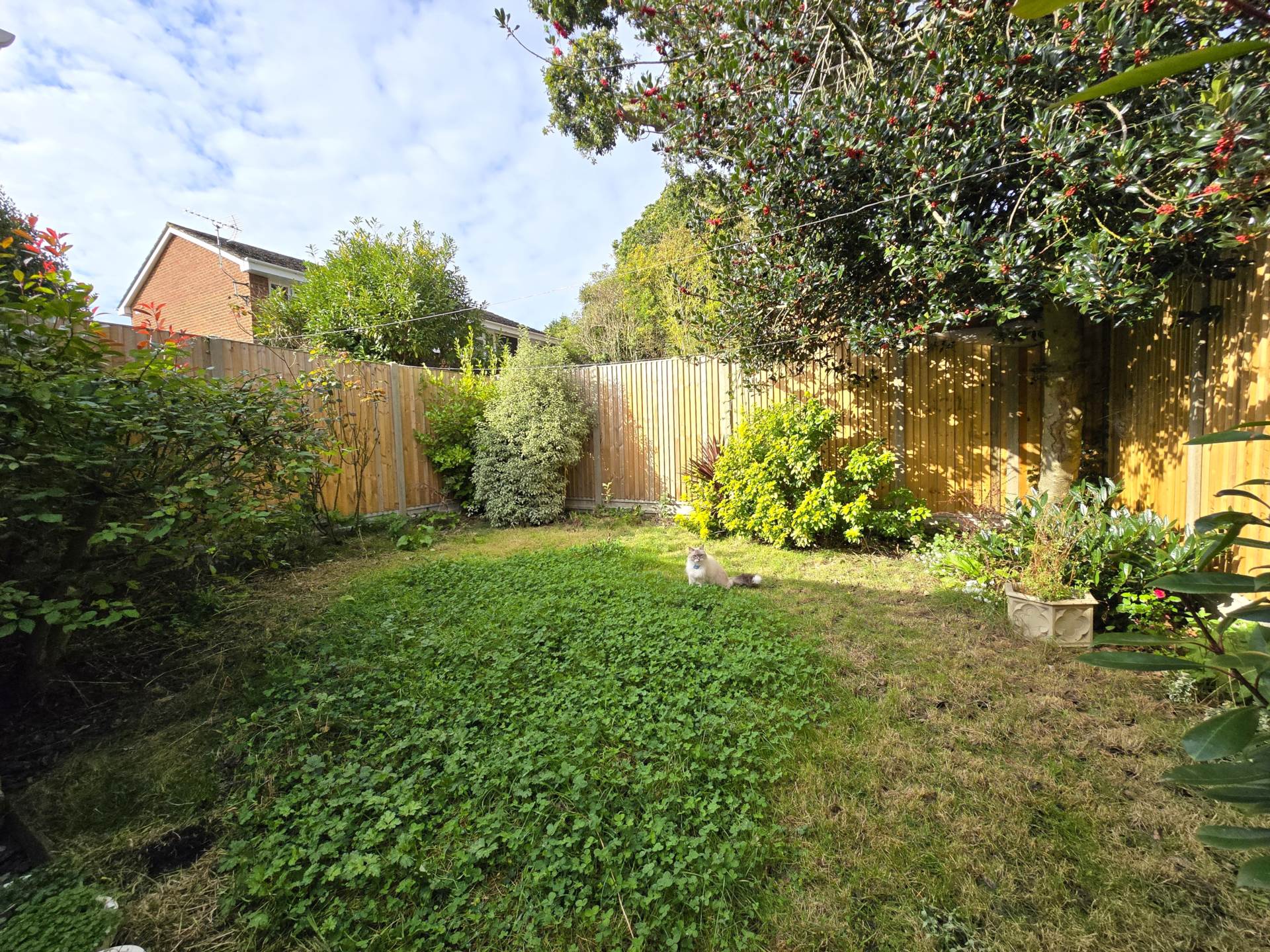 Bicknor Close, Canterbury, Image 16