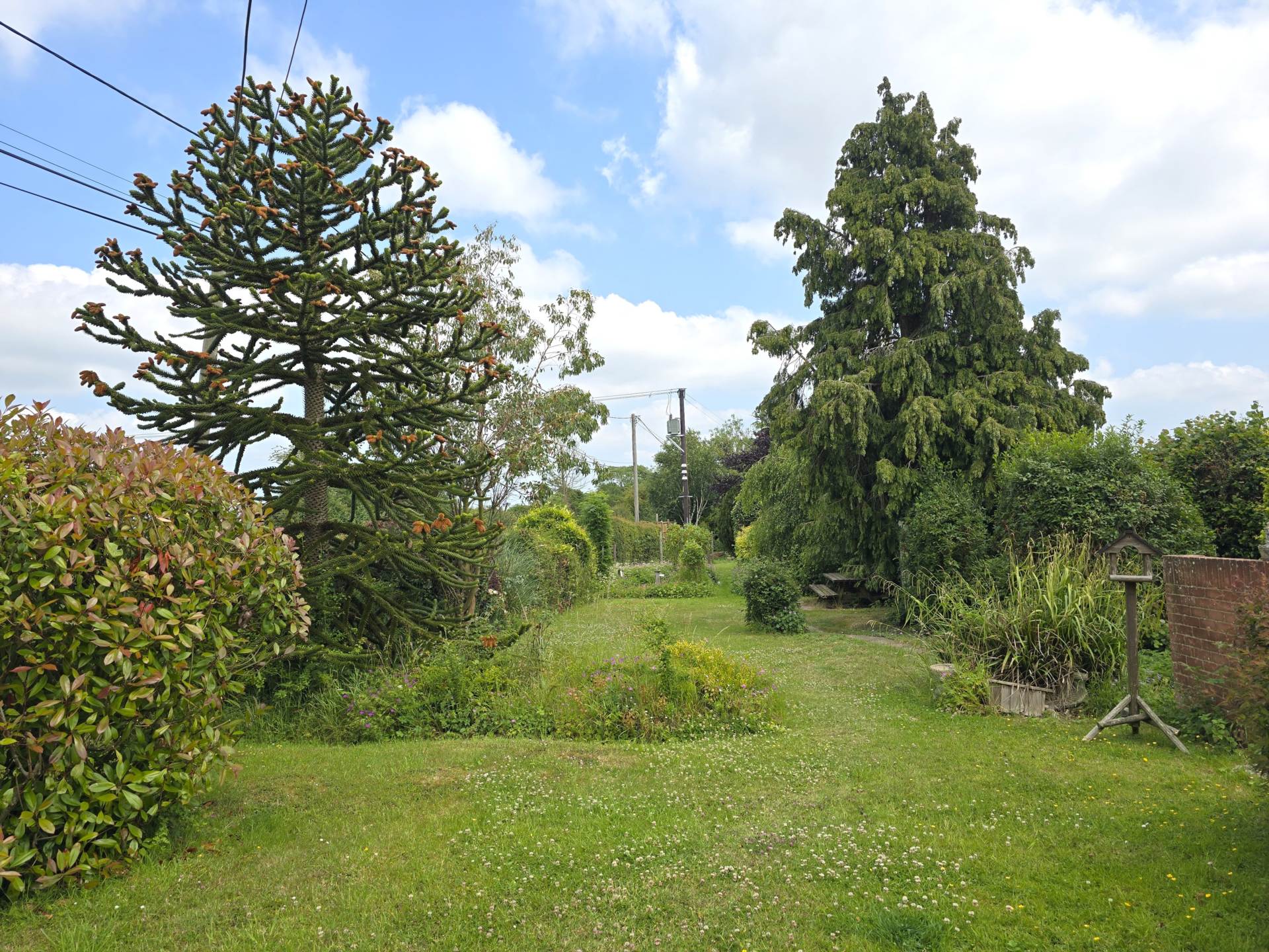 Canterbury Road, Molash, Image 16