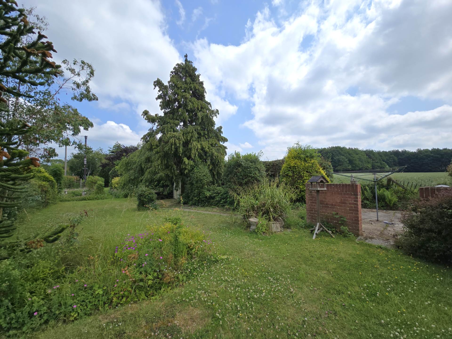 Canterbury Road, Molash, Image 17