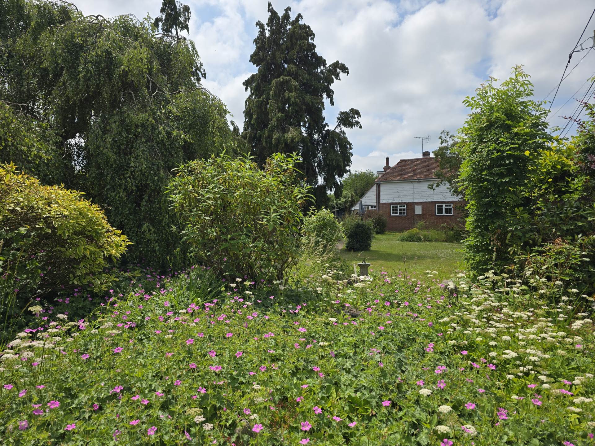 Canterbury Road, Molash, Image 4