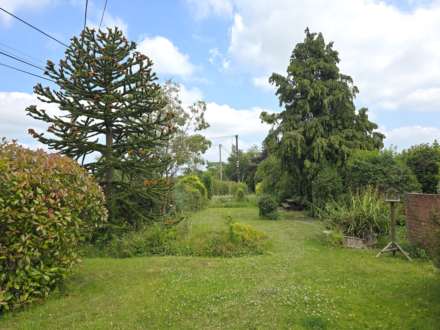 Canterbury Road, Molash, Image 16