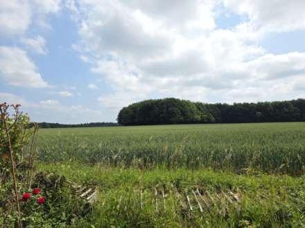 Canterbury Road, Molash, Image 18